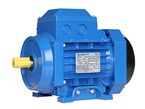 Y2 Series 3 Phase AC Induction Motors (ABB Models)